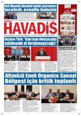 YEREL HAVADİS