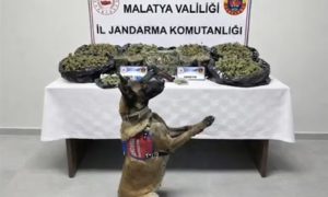 Malatya’da Uyuşturucu Operasyonu: 2 Şüpheli Gözaltında