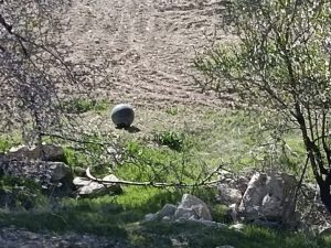 Baskil’de Bulunan Şüpheli Cisim Paniğe Neden Oldu