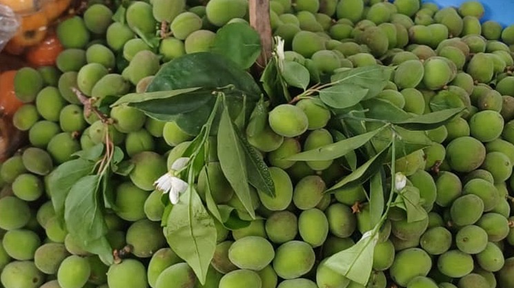 Malatya’da Çağla Tezgâhlarda, Fiyatlar 200 TL’yi Gördü