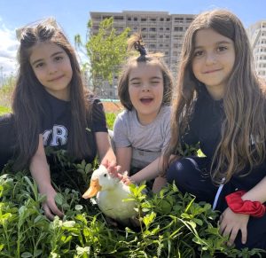 Okulda Şiddete Karşı Örnek Model: Mercan Koleji’nde Sevgi Temelli Eğitim