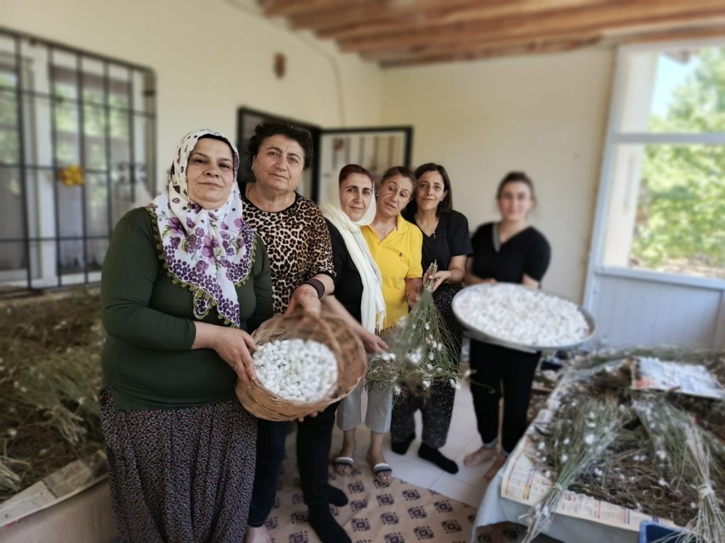 Hekimhanlı Kadınlar İpek Böceği Yetiştiriciliğine Yöneliyor