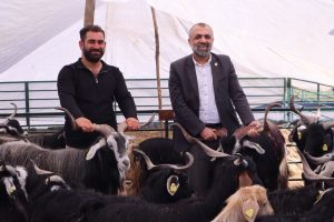 Kurban Pazarında Hareketlilik Başladı