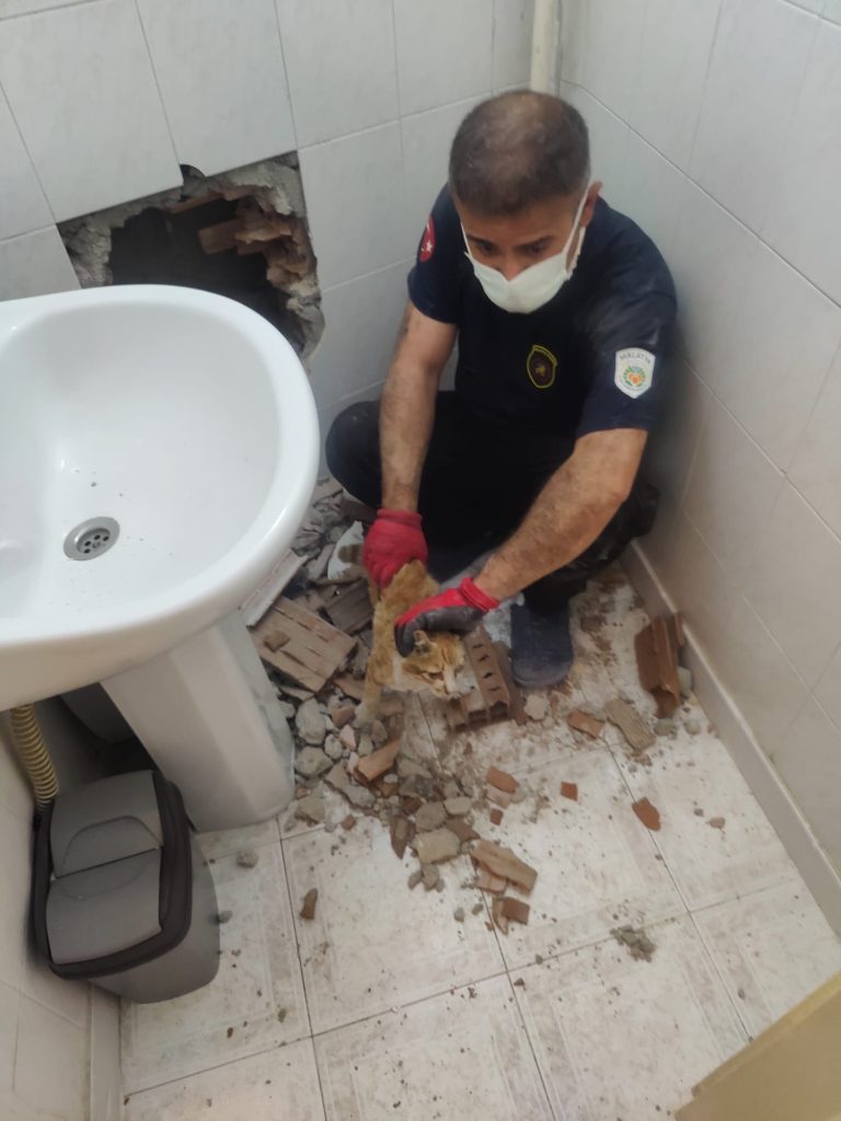 İki Bina Arasına Sıkışan Kedi 2 Saatlik Çalışmayla Kurtarıldı