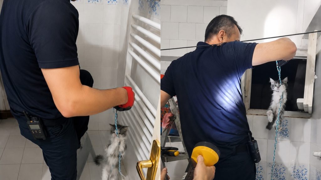 Yavru Kedinin İmdadına İtfaiye Yetişti