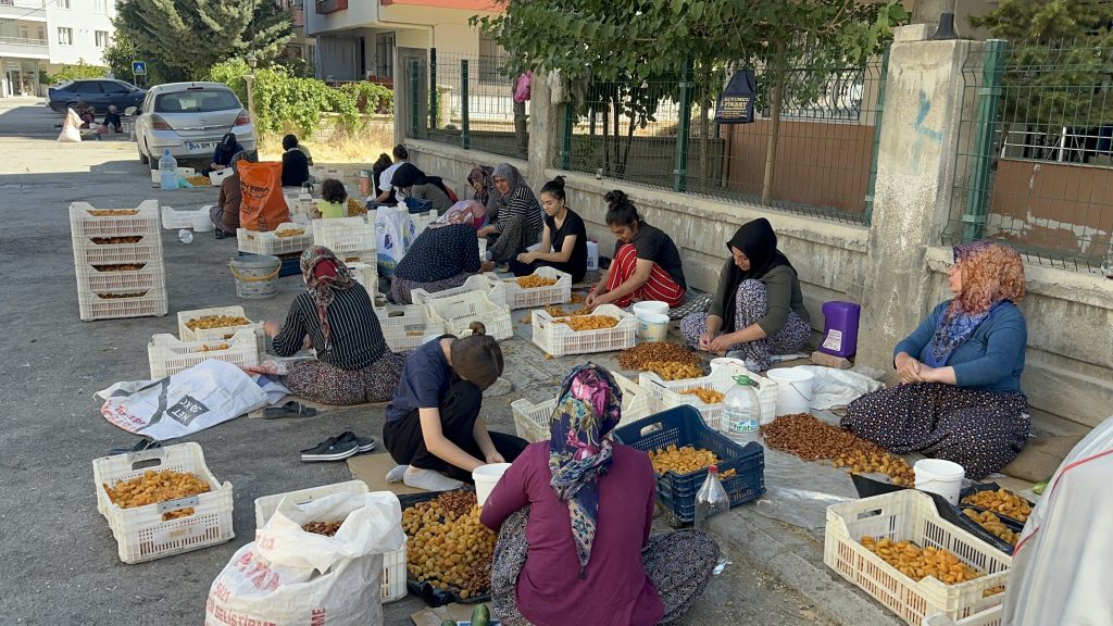 Kayısının Görünmeyen Emeği Ceza Korkusuyla Karşı Karşıya