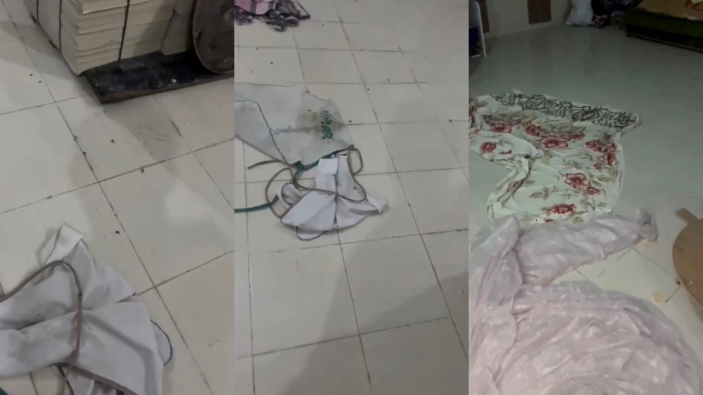 Vatandaş Görüntüledi: Fırında Böcek Var İddiası