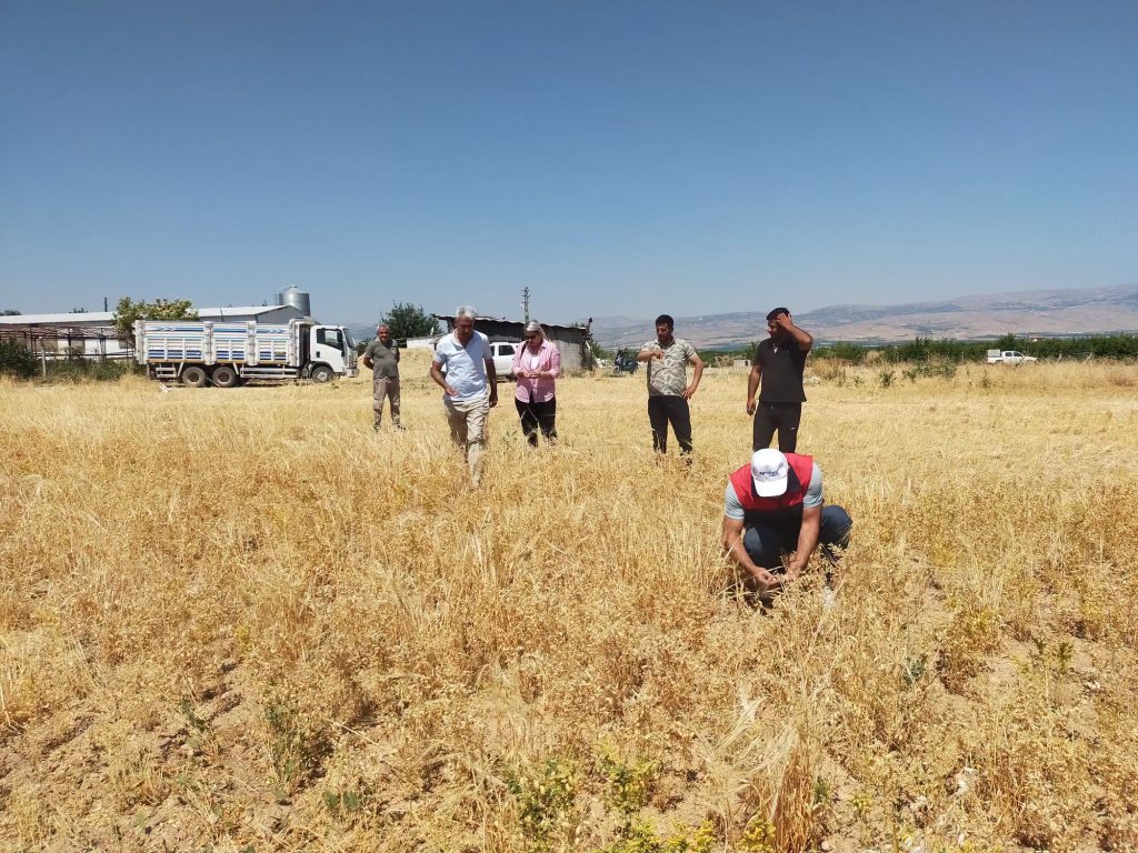 Yeşilyurt’ta TAKE Projesi Kapsamında Nohut Hasadı Yapıldı