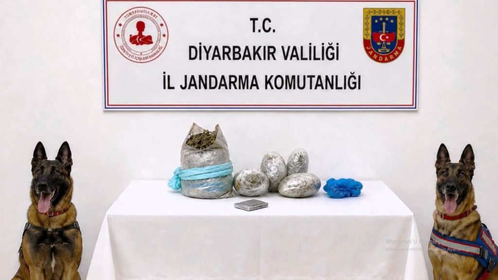 Diyarbakır’da 217 Bin 608 Kök Kenevir Ve Skunk İmha Edildi